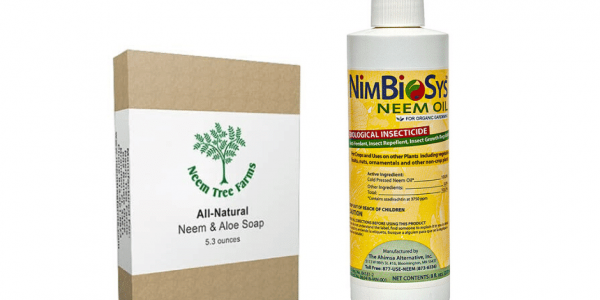 Neem oil soap special