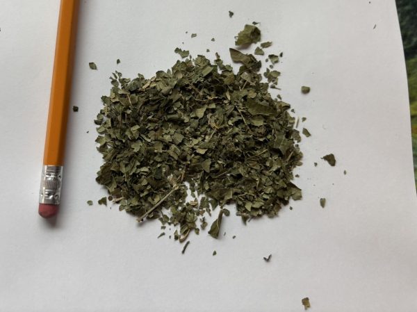 Dried Neem Leaf Flakes